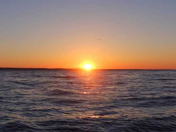 Pokojná prírodná scenéria v jemnom večernom svetle